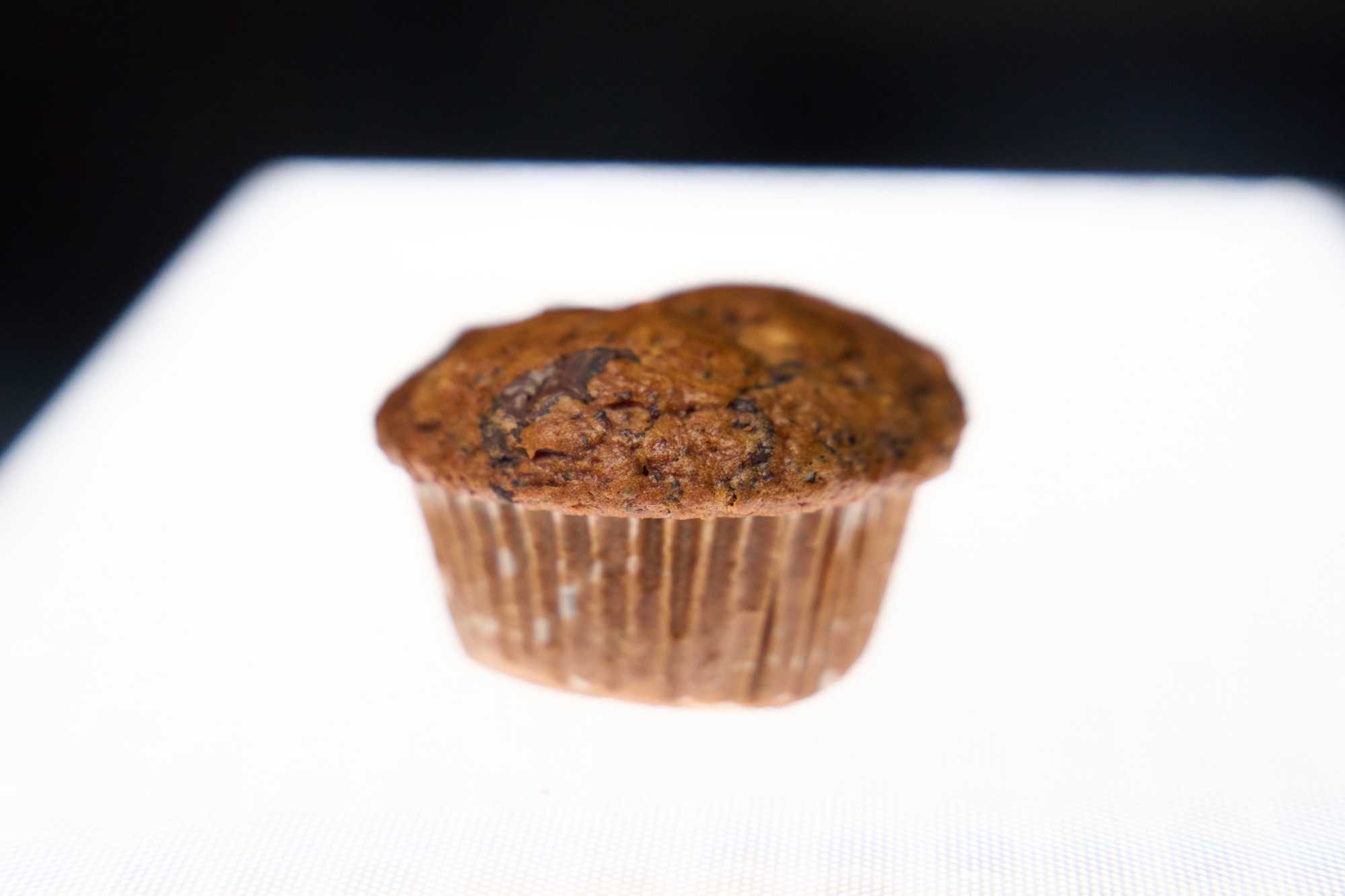 Muffin tut so als könnte er schweben