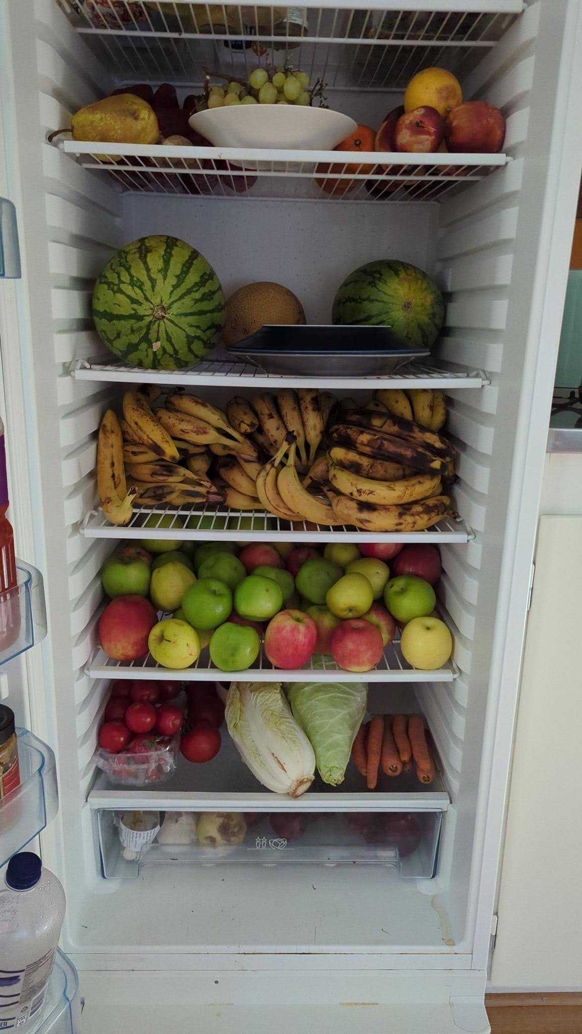 Der Kühlschrank mit einer gottlosen Menge Bananen